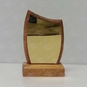 WOODEN STORE SPECIAL